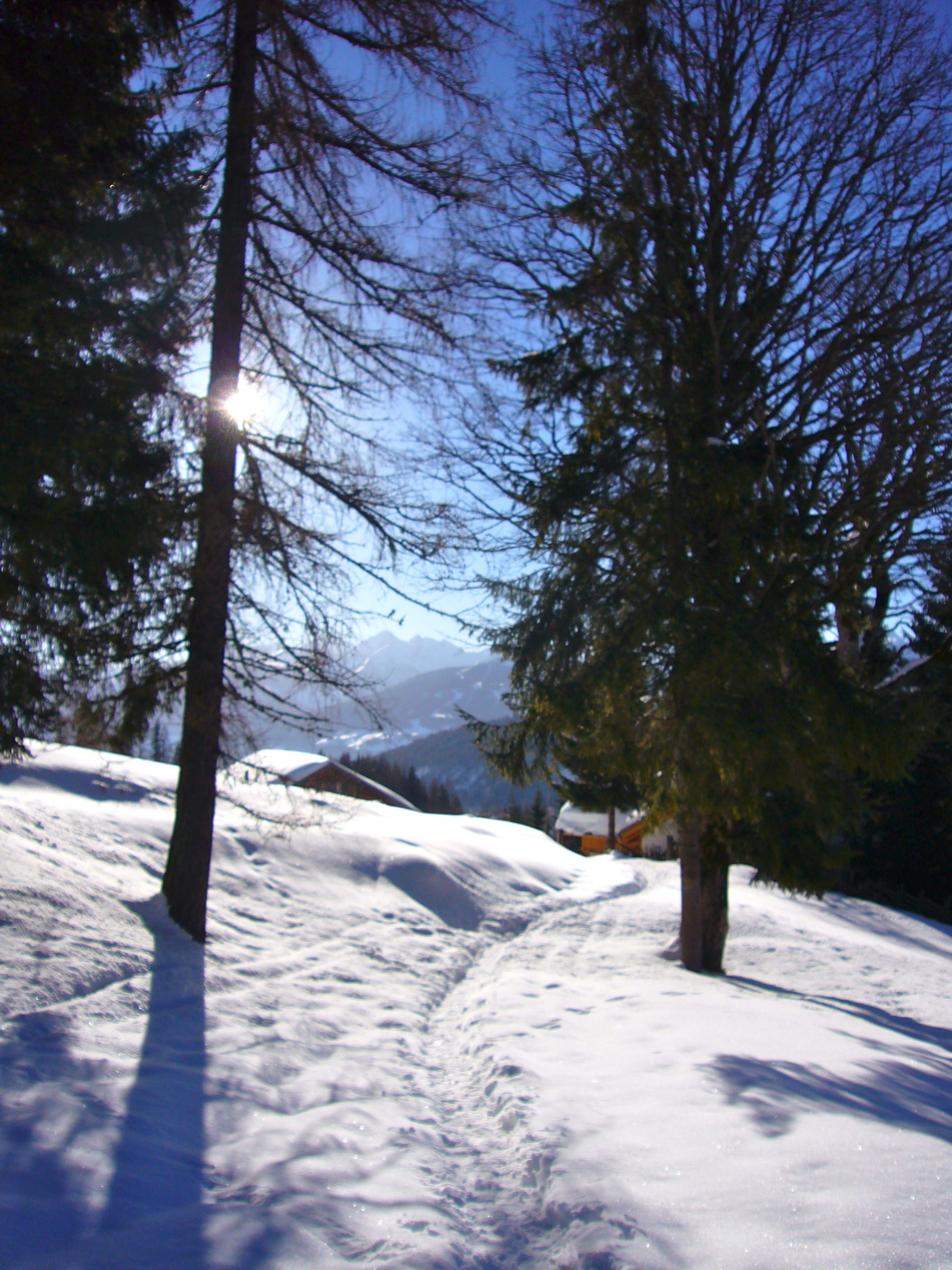 T11 Pano03